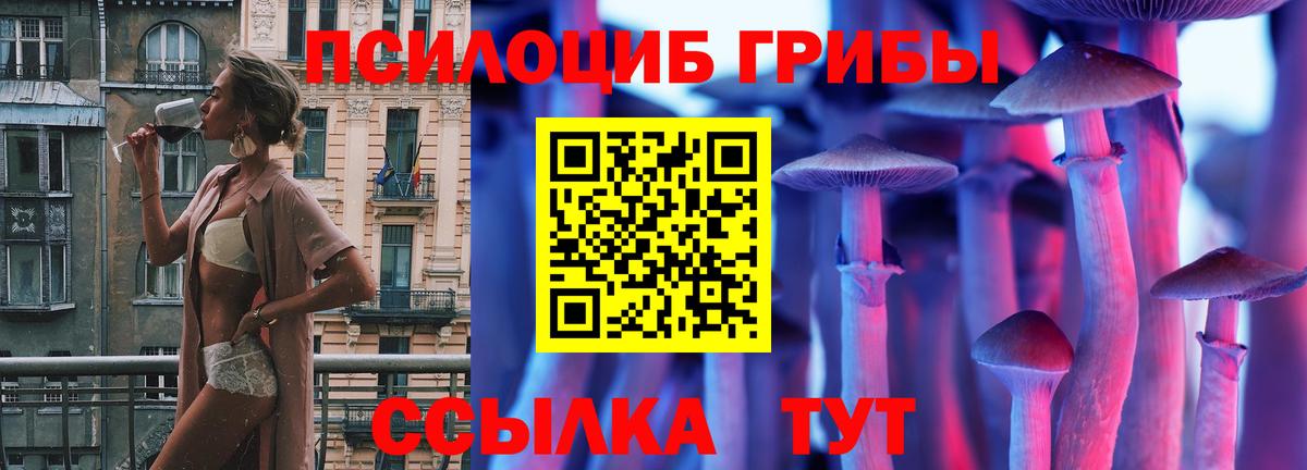 Анапа  где найти   Вход с VPN  Псилоцибиновые грибы ЛСД 