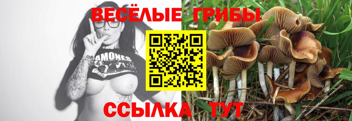 Псилоцибиновые грибы MAGIC MUSHROOMS Анапа