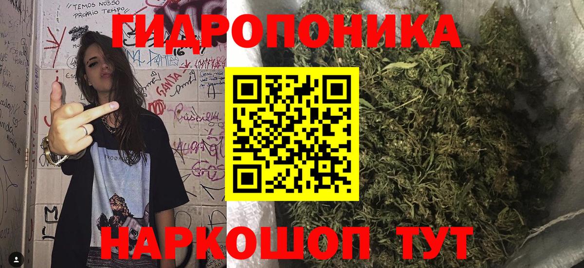Конопля Анапа
